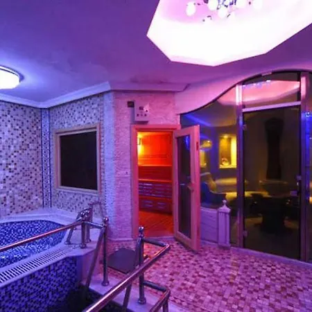 玛拉宫殿酒店 4* 费特希耶